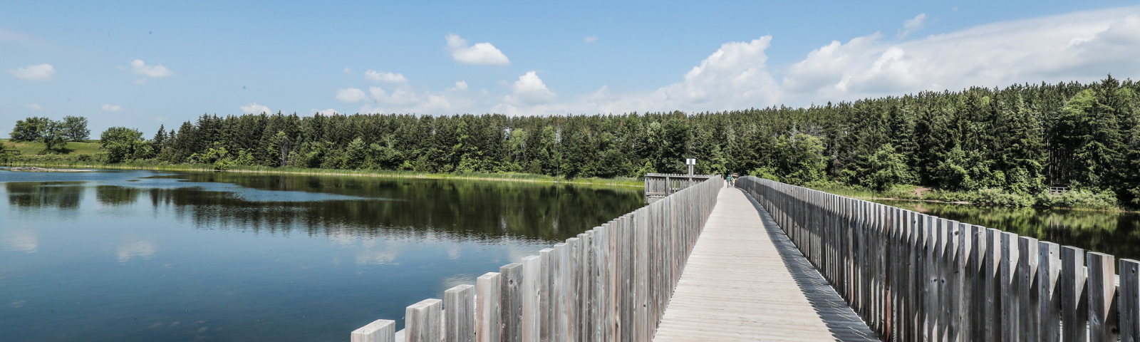 Island Lake boardwalk trail